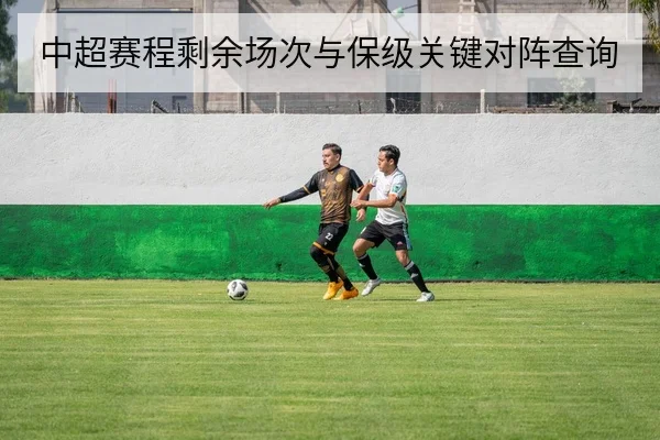 中超赛程剩余场次与保级关键对阵查询